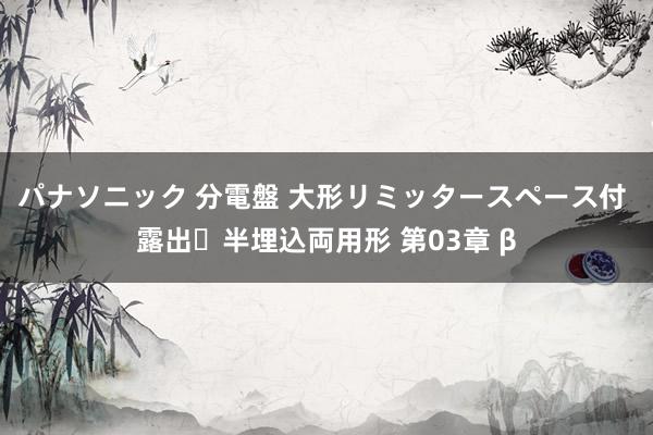 パナソニック 分電盤 大形リミッタースペース付 露出・半埋込両用形 第03章 β