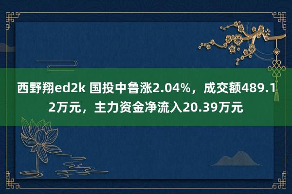 西野翔ed2k 国投中鲁涨2.04%，成交额489.12万元，主力资金净流入20.39万元