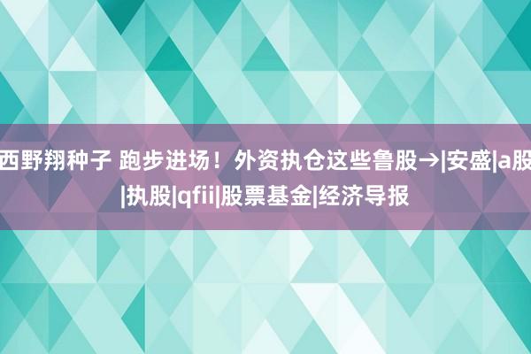 西野翔种子 跑步进场！外资执仓这些鲁股→|安盛|a股|执股|qfii|股票基金|经济导报