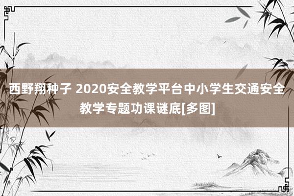 西野翔种子 2020安全教学平台中小学生交通安全教学专题功课谜底[多图]